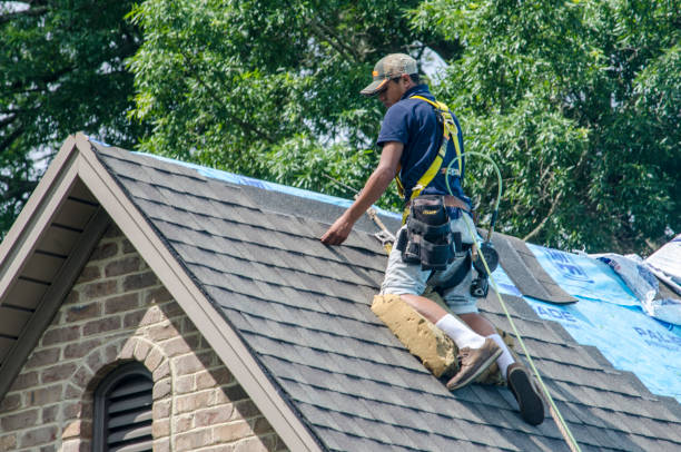 Best Gutter Installation and Roofing  in Hayward, WI